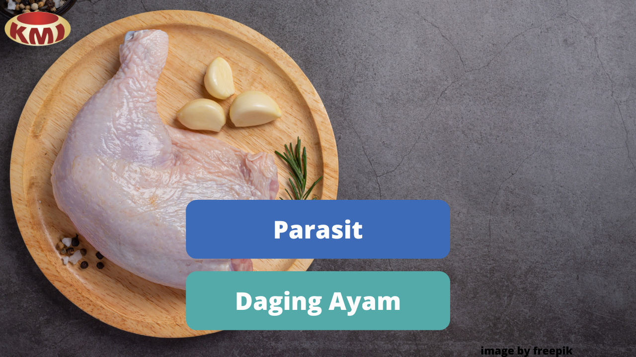 Jenis Parasit Pada Daging Ayam Yang Wajib Diwaspadai